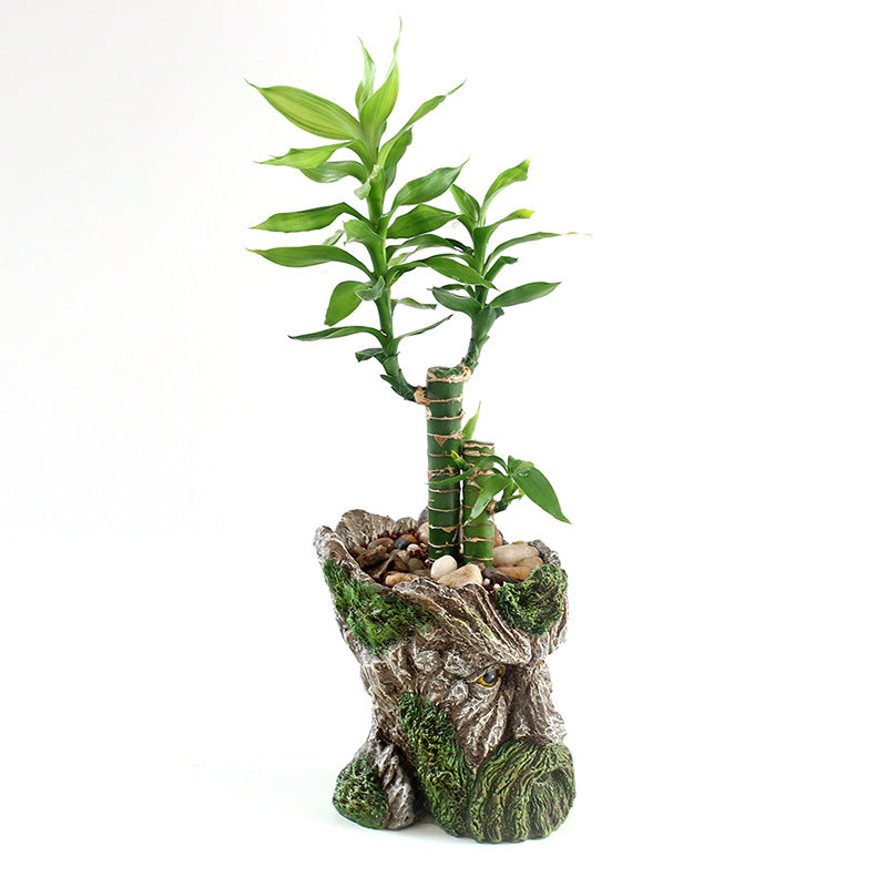 Strongwell  Tree Head Old Man Flower Pot Container Garden Tree Man Figurine Planter Pot Desktop Home Decoration Gift