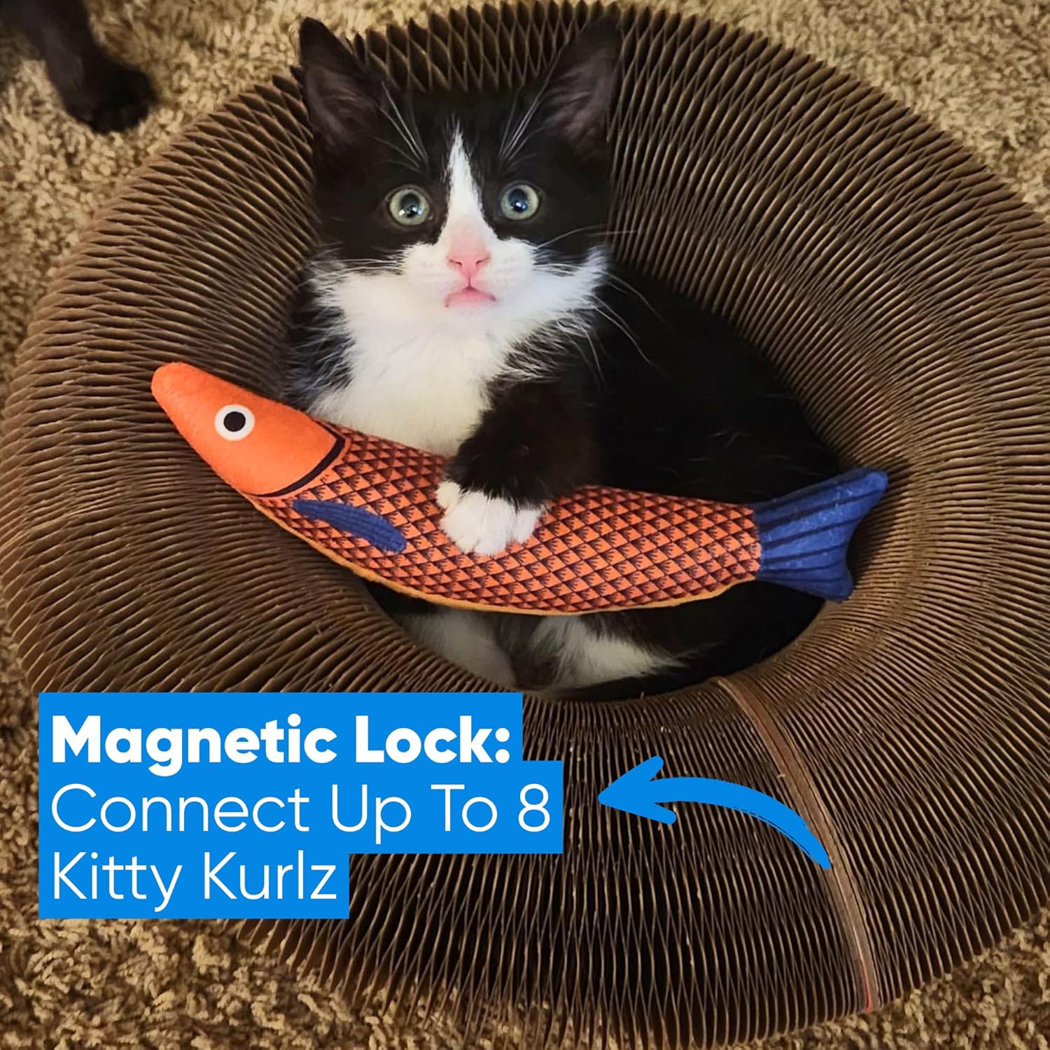 Kitty Kurlz - Kitty Kurlz Magnetic Toy & Reversible Cardboard Scratcher