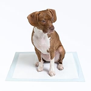 Leak-Proof Dog and Puppy Potty Training Pee Pads with Quick-Dry 5-Layer Super