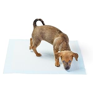 Leak-Proof Dog and Puppy Potty Training Pee Pads with Quick-Dry 5-Layer Super