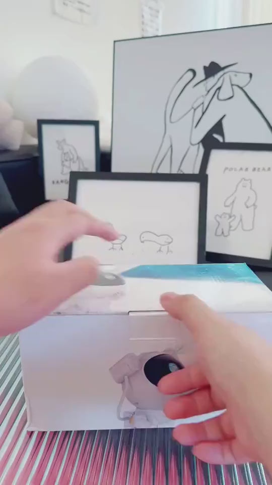 1.mp4
